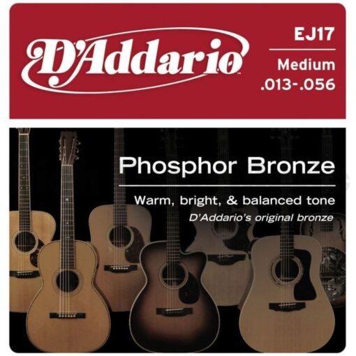 D'addario EJ17