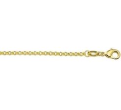 Ketting: Schakel 2mm Lengte 45cm