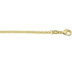 Ketting: Schakel 2mm Lengte 45cm