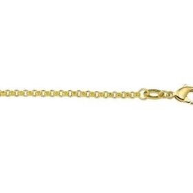 Ketting: Schakel 2mm Lengte 45cm