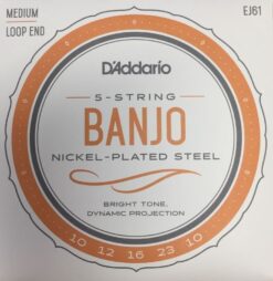 D'addario EJ61 5 STRING BANJO