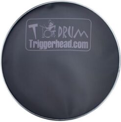 Trigger Head TH10