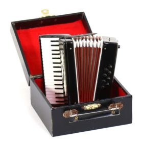 MI: Accordeon 12 Zw