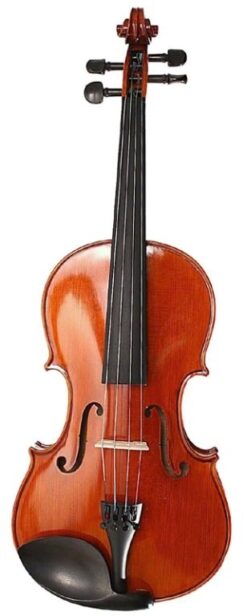Strijkinstrument