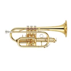 Blaasinstrument