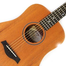 Taylor Baby BT-2