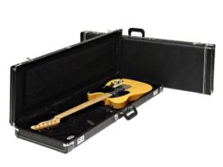 Fender deluxe case