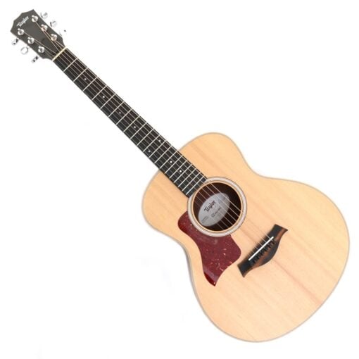 Taylor GS Mini LH