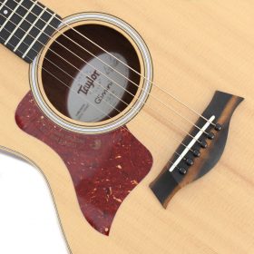 Taylor GS Mini LH