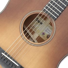 Taylor 517e Builder's Edition Grand Pacific V-Class Bracing