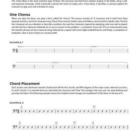 100 Blues Lessons
