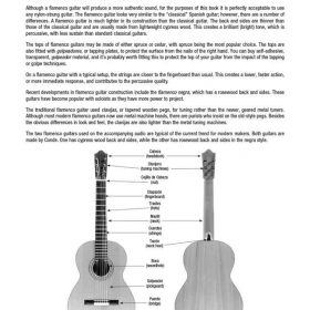 Hal Leonard Flamenco Guitar Method (+Audio Access)