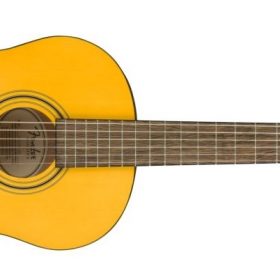 Fender ESC80 Educational Series, WN