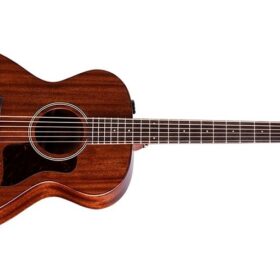 Taylor AD22e