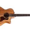 Taylor 724ce