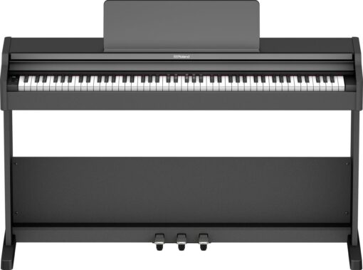 Roland RP-107