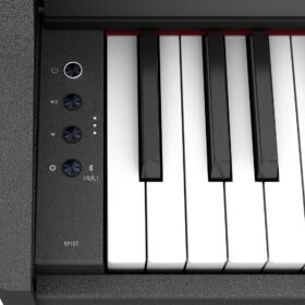 Roland RP-107