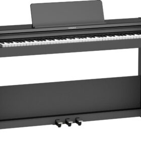 Roland RP-107