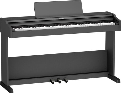 Roland RP-107