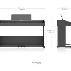 Roland RP-107