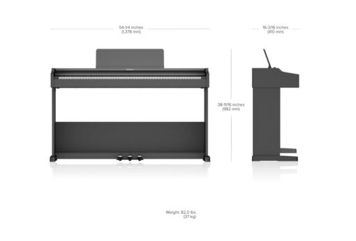 Roland RP-107