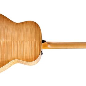Taylor 618e V-Class