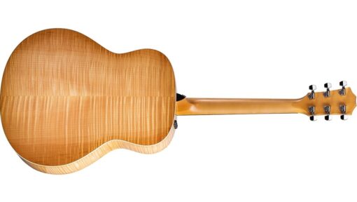 Taylor 618e V-Class