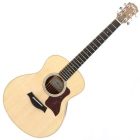 Taylor GS Mini-e QS LTD