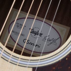 Taylor GS Mini-e QS LTD