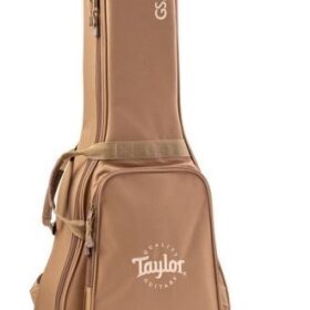 Taylor GS Mini-e QS LTD