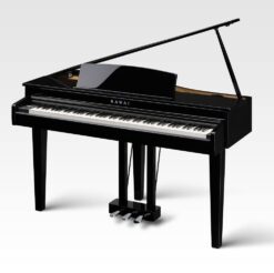 Kawai DG-30 PE