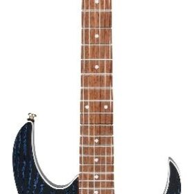 Ibanez RG Standard RG421HPAHBWB Blue Wave Black