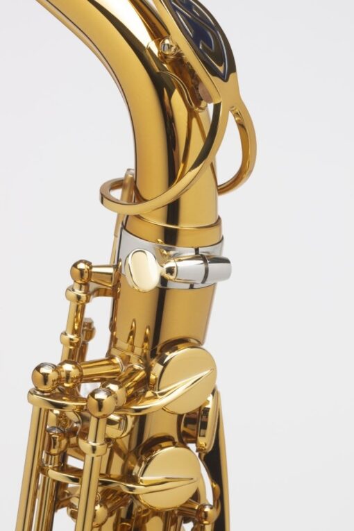 Selmer Supreme