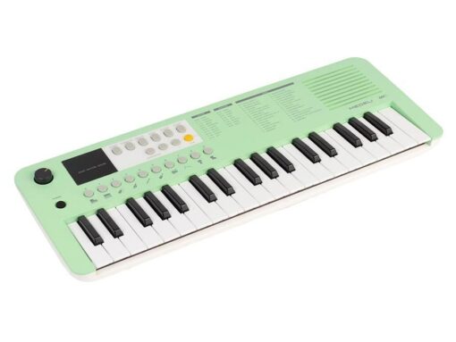 Medeli MK1/GN Medeli Nebula Series keyboard