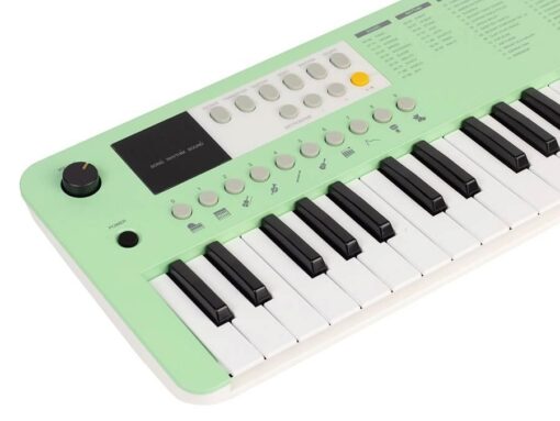 Medeli MK1/GN Medeli Nebula Series keyboard