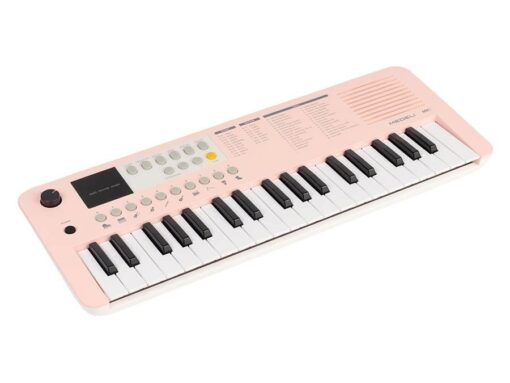 Medeli MK1/PK Medeli Nebula Series keyboard