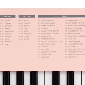 Medeli MK1/PK Medeli Nebula Series keyboard