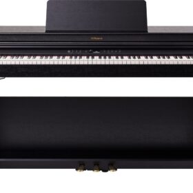 Roland RP-701 CB