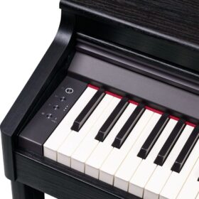 Roland RP-701 CB