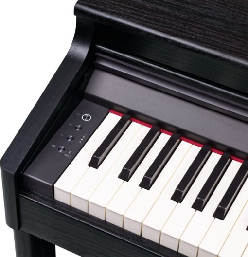 Roland RP-701 CB