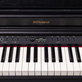 Roland RP-701 CB