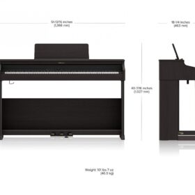 Roland RP-701 CB