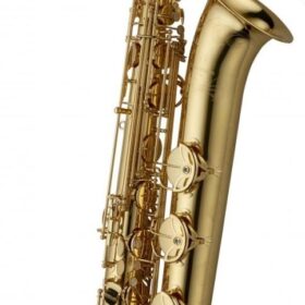 Yanagisawa B-WO1