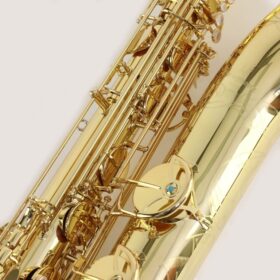Yanagisawa B-WO1