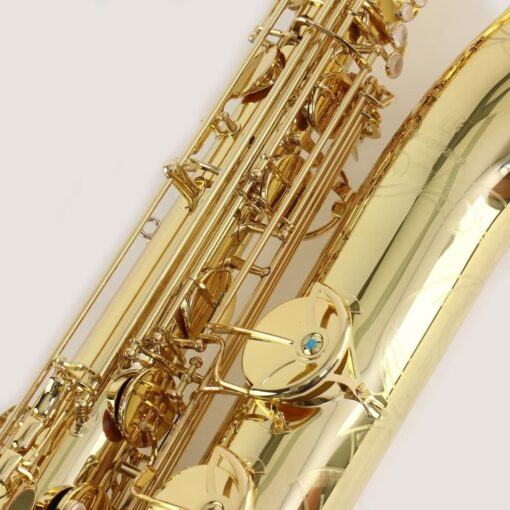 Yanagisawa B-WO1