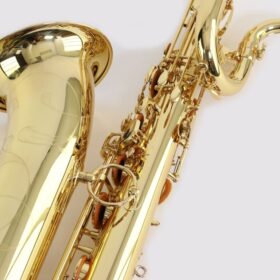 Yanagisawa B-WO1