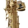 Yanagisawa S-WO1