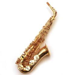 Yanagisawa A-WO1