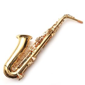 Yanagisawa A-WO1