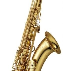 Yanagisawa T-WO10